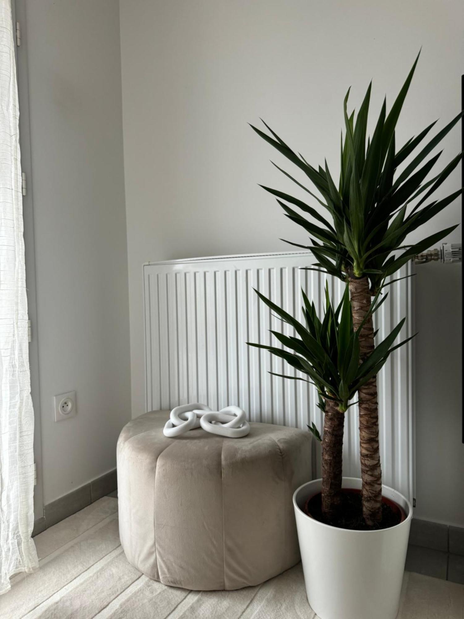 Superbe Appartement - Near Paris Corbeil-Essonnes Eksteriør bilde